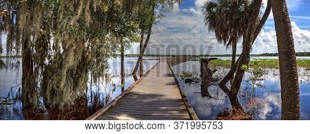 Boardwalk Overlooking The Flooded Swamp Of Myakka River State Park In Sarasota, Florida.