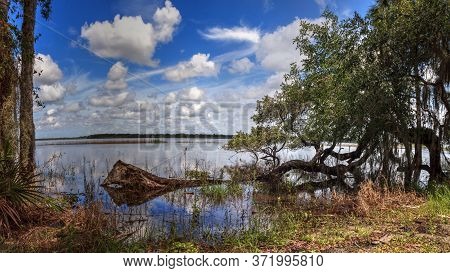Seasonal Flooded Swamp Of Myakka River State Park In Sarasota, Florida.