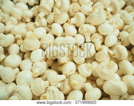 Fresh White Mushroom Vegetable Food Texture Background
