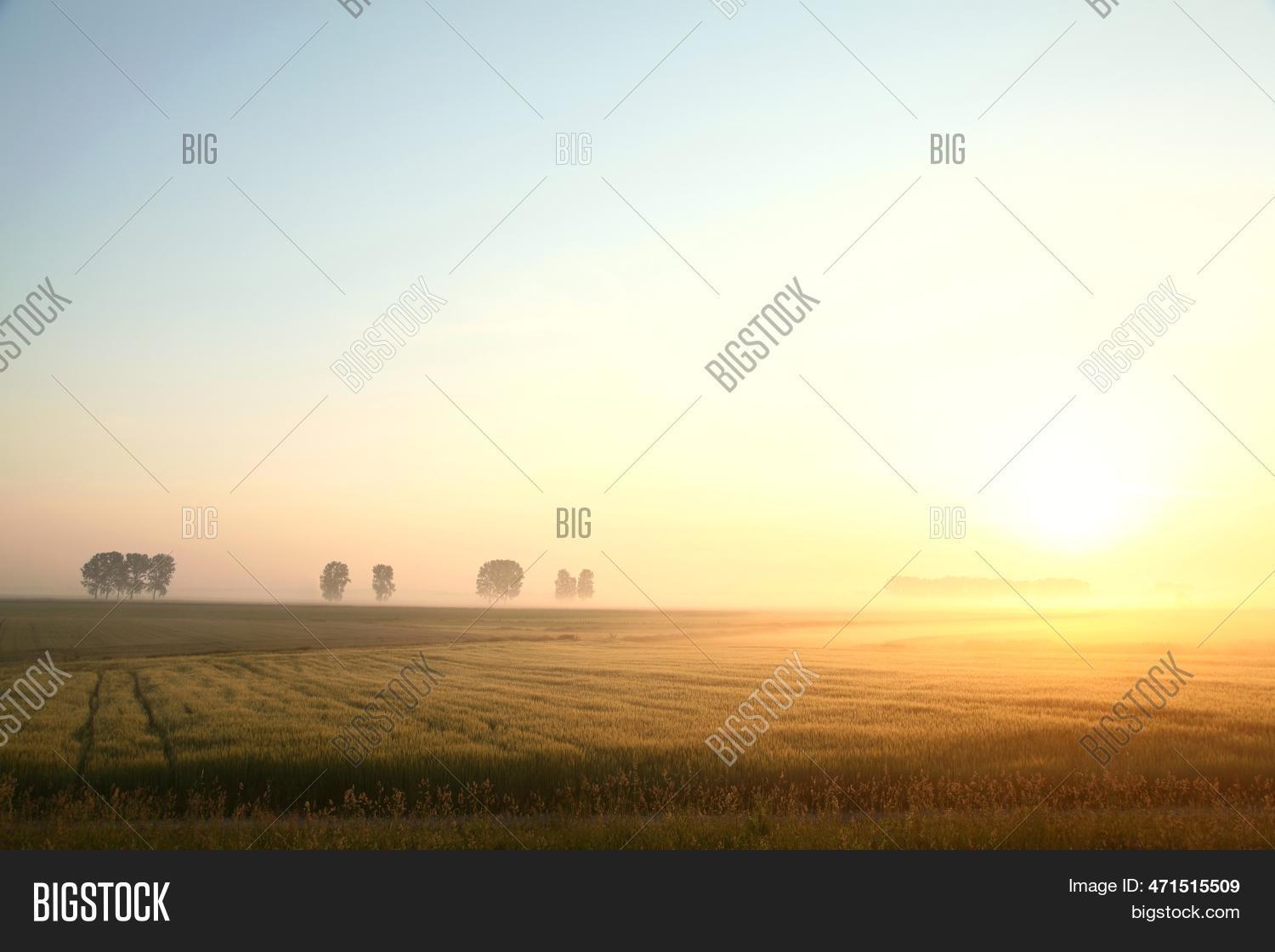 Spring Sunrise Field Image & Photo (Free Trial) | Bigstock