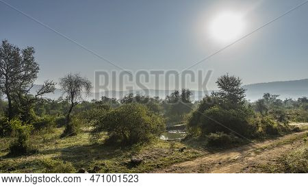 A Dirt Safari Road Runs Through The Jungle. A Pond Is Visible Between The Trees. Green Grass On The 