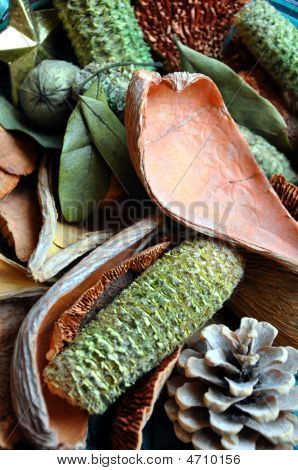 Pot-Pourri