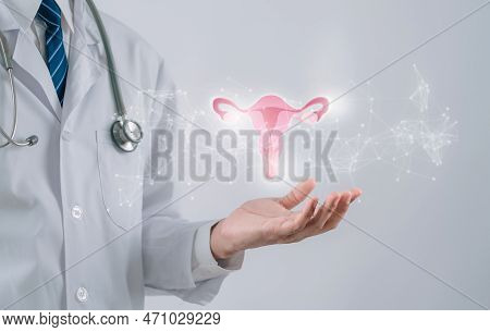 Doctor In A White Coat Holding Virtual Uterus Reproductive System , Woman Health, Pcos, Ovary Gyneco