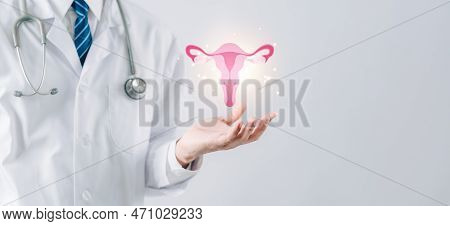 Doctor In A White Coat Holding Virtual Uterus Reproductive System , Woman Health, Pcos, Ovary Gyneco