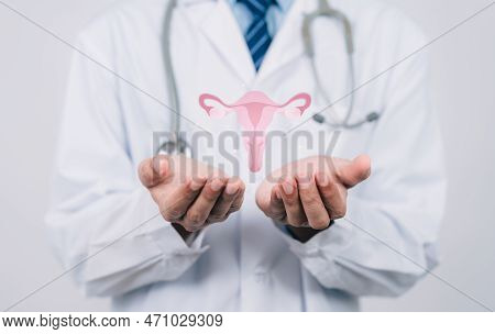 Doctor In A White Coat Holding Virtual Uterus Reproductive System , Woman Health, Pcos, Ovary Gyneco