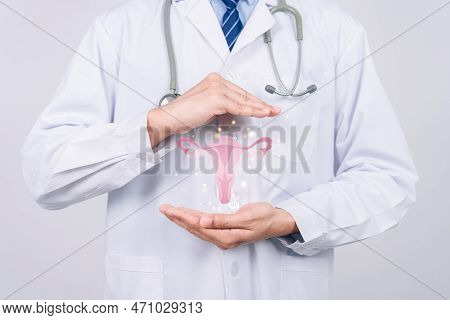Doctor In A White Coat Holding Virtual Uterus Reproductive System , Woman Health, Pcos, Ovary Gyneco