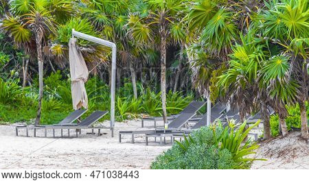 Palms Parasols Sun Loungers Beach Resort Playa Del Carmen Mexico.