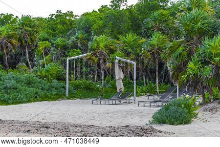 Palms Parasols Sun Loungers Beach Resort Playa Del Carmen Mexico.