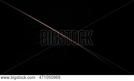 A Image Of Black Leaf Desktop Background Wallpaper