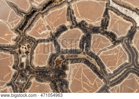 Cross Section Of Septaria Mineral Stone. Septarian Nodules. Diagenetic Structure