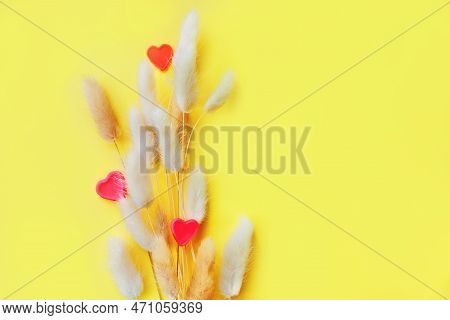Nice Lagurus On Yellow Light Spring Background With Hearts