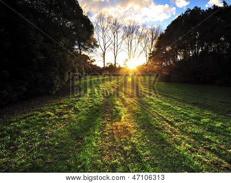 Sonnenuntergang im Garten