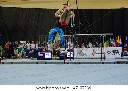 Matthias Fahrig (ger)