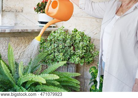 Middle Aged Overweight Woman Caring For The Little Local Garden. Active Senior Woman Holding Waterin