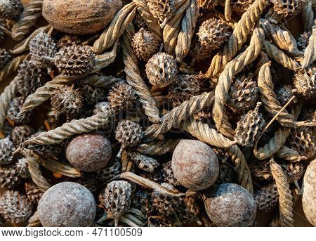 Rustic Background. Natural Composition. Distressed Ornament. Brown Old Weathered Dry Conifer Cone Nu