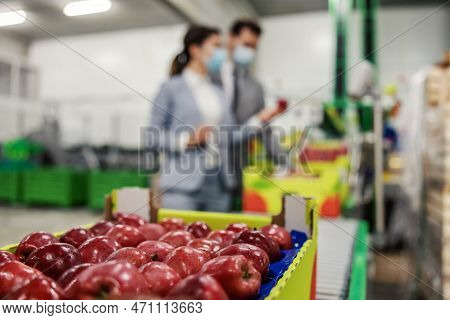 Red Apples In Focus. Ripe Juicy Apples In A Box In The Focus Of The Photo. In The Background, Blurre