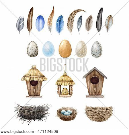 Bird Feather, Egg, Feeder, Nest, Birdhouse Big Illustration Set. Hand Drawn Different Bird Feathers,