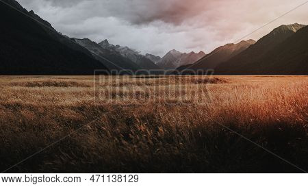 A Image Of Autumn Desktop Wallpaper, Grassland Landscape Background