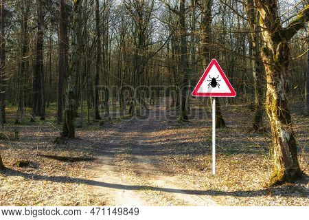 Infected Ticks Warning Sign In A Forest. Risk Of Tick-borne And Lyme Disease.