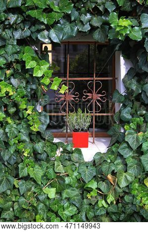 Village Window With A Red Flower Pot. Slovakia, Region Turiec.