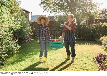 Two Women Farmer Working In Gardening Copy Space. Gardener Carrying Crate With Freshly Harvested Veg