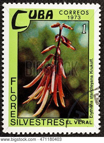 Cuba - Circa 1973: A Postage Stamp Printed In Cuba Shows A Blooming Erythrina Standleyana. Circa 197