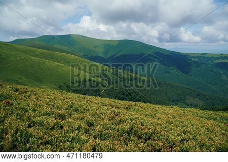 Beautiful Summer Mountain Landscape, Forest, Clouds. Mount Gemba Pylypets Ukraine. Ukrainian Mountai