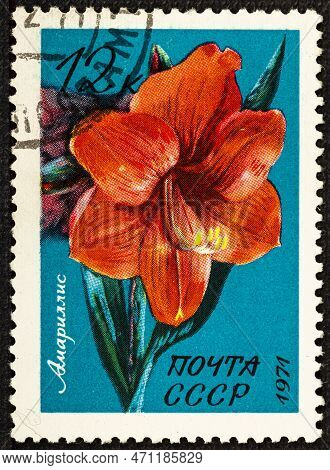 Ussr-circa 1971: A Post Stamp Printed In Ussr And Shows Exotic Window Plant Flower Amarillis,series.