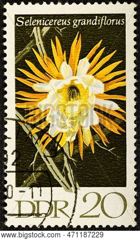 Germany, Ddr - Circa 1970: A Postage Stamp From Germany, Gdr Showing A Cactus Blossom Queen Of The N