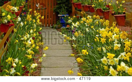 Jardin de printemps