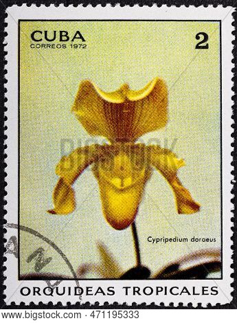 Cuba - Circa 1972: A Stamp Printed In Shows Ciprypedium Doraeus Orchid, Tropical Orchids Serie, Circ