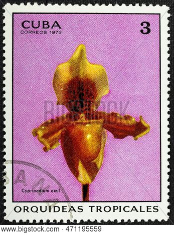 Cuba - Circa 1972: A Stamp Printed In Shows Cypripedium Exul Orchid, Tropical Orchids Serie, Circa 1