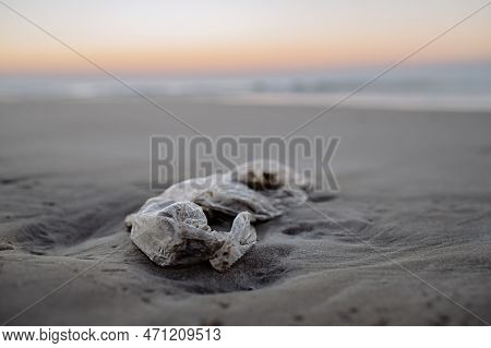 Close-up Of A Rubish On The Beach.