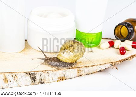 Cosmetics Organic Made With Slaver Of Snail, Very Good For Skin And Health And Fashion In Europe. Po