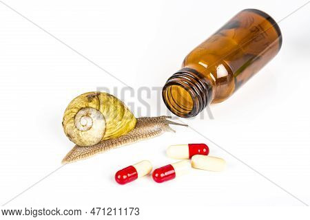 Cosmetics Organic Made With Slaver Of Snail, Very Good For Skin And Health And Fashion In Europe. Po