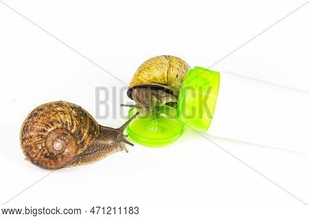 Cosmetics Organic Made With Slaver Of Snail, Very Good For Skin And Health And Fashion In Europe. Gr
