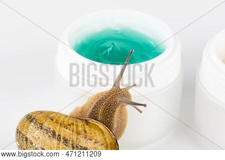 Cosmetics Organic Made With Slaver Of Snail, Very Good For Skin And Health And Fashion In Europe. Po