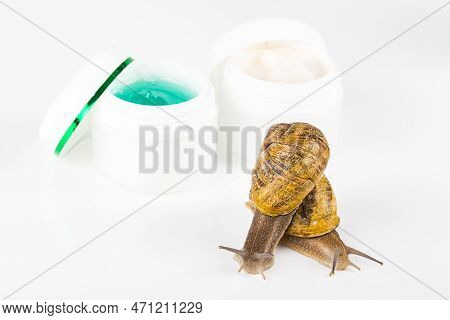 Cosmetics Organic Made With Slaver Of Snail, Very Good For Skin And Health And Fashion In Europe. Po