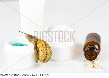 Cosmetics Organic Made With Slaver Of Snail, Very Good For Skin And Health And Fashion In Europe. Po