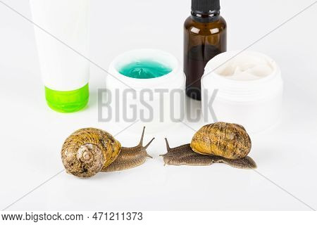 Cosmetics Organic Made With Slaver Of Snail, Very Good For Skin And Health And Fashion In Europe. Po