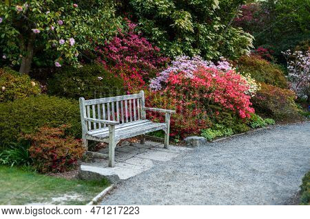 Beautiful Garden With Blooming Trees And Bushes During Spring Time, England, Wales, Uk, Early Spring