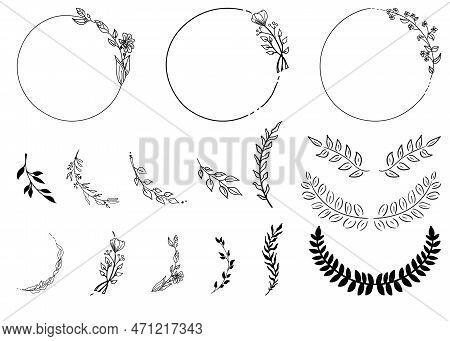Set Of Hand Drawn Silhouette Tree Branches With Laurel, Oak And Olive Foliate. Vector Illustration F