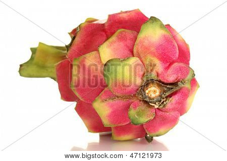 Pitahaya matura isolata on white