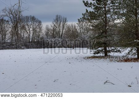 Winter Landscape With Snow. Beautiful Park With Trees - Straznice - Czech Republic