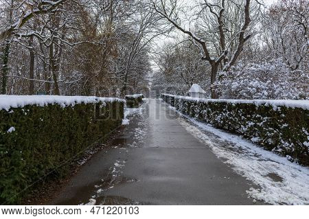 Winter Landscape With Snow. Beautiful Park With Trees - Straznice - Czech Republic