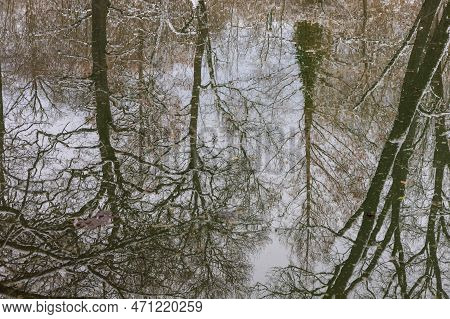 Winter Landscape With Snow. Beautiful Park With Trees - Straznice - Czech Republic