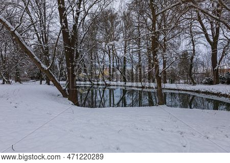 Winter Landscape With Snow. Beautiful Park With Trees - Straznice - Czech Republic
