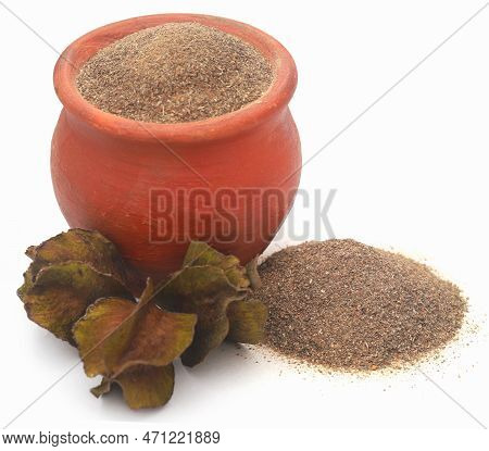Ayurvedic Arjun Fruit With Ground Powder Over White Background