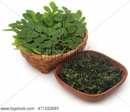 Moringa Leaves Fresh And Sliced Treaded As Super Food All Over The World