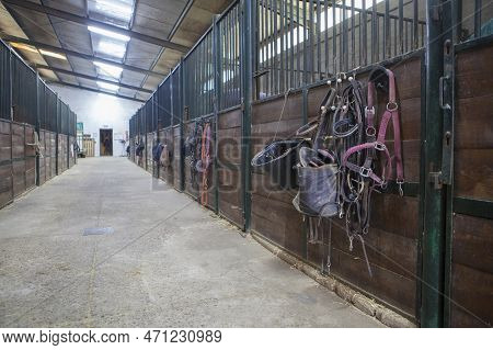 Horse Stable Corridor. Equestrian Facility Created For Accommodating Horses